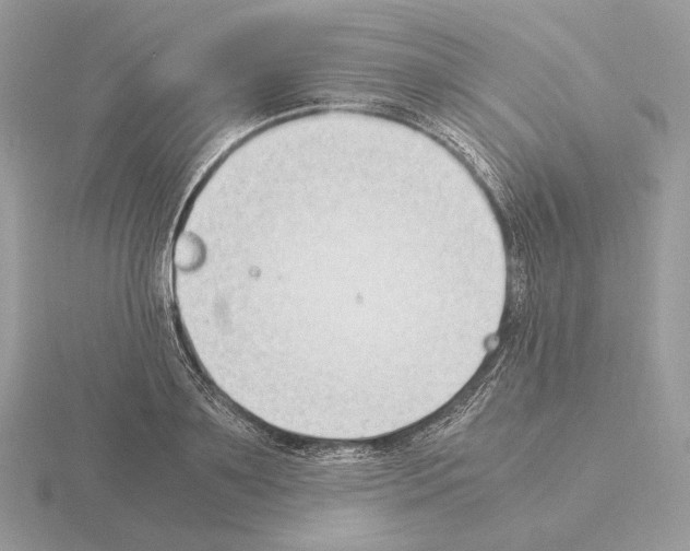 X0000115300891200912141114