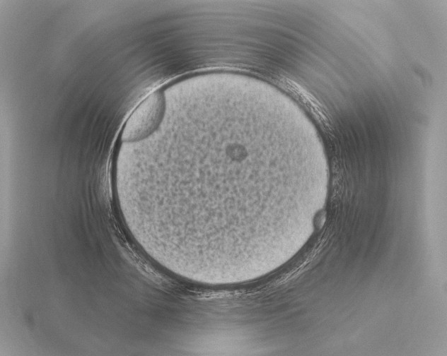 X0000115300892200912141114