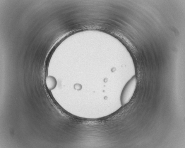 X0000115300894200912141114