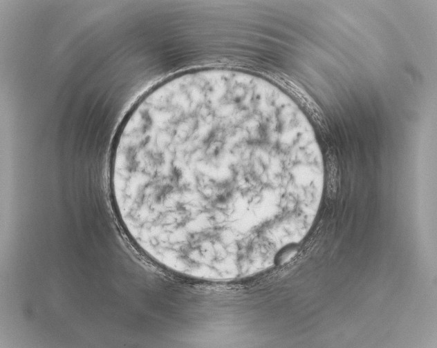 X0000115300896200912141114