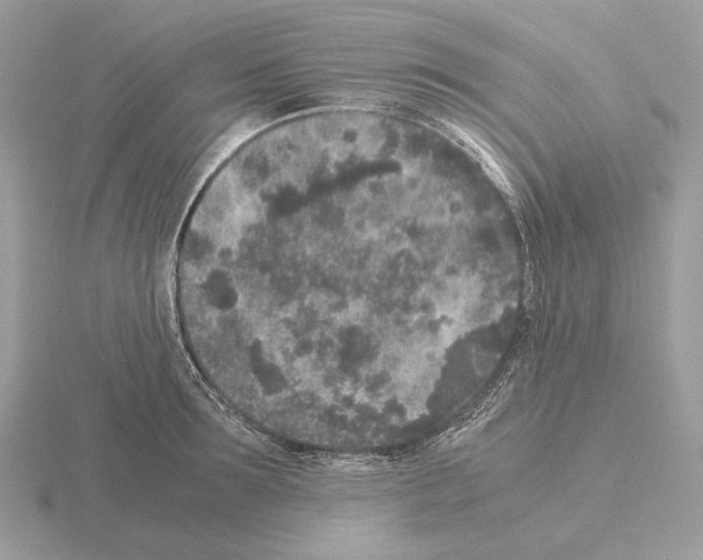 X0000115300899200912141114