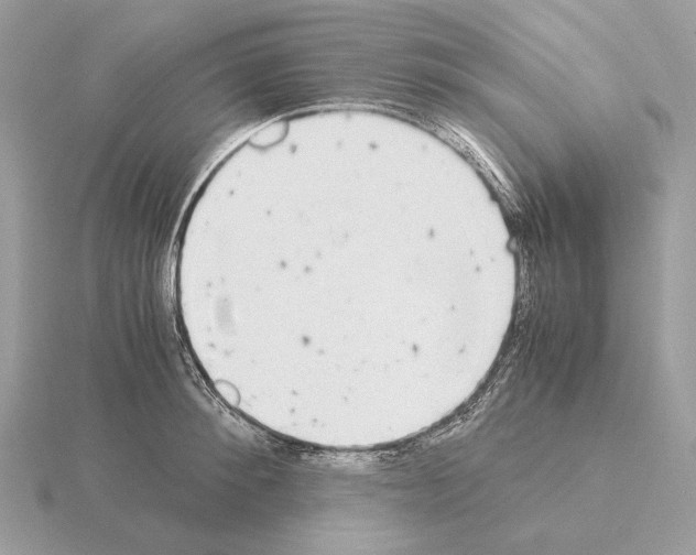 X0000115300900200912141114