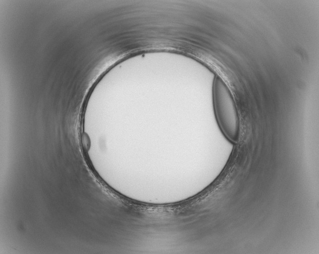 X0000115300901200912141114