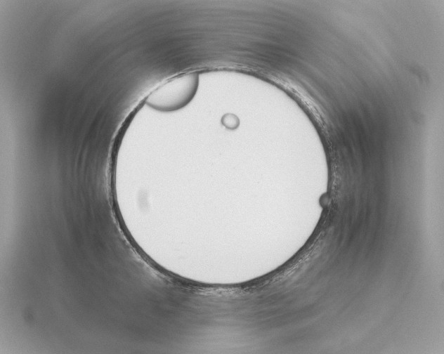 X0000115300902200912141114