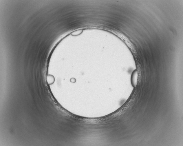 X0000115300904200912141114