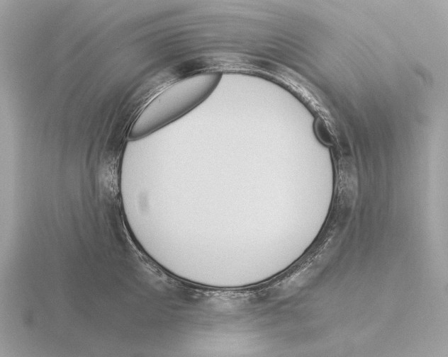 X0000115300905200912141114