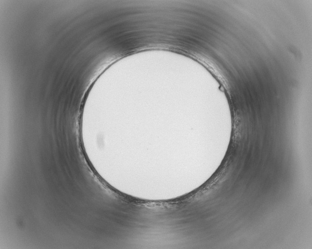 X0000115300906200912141114