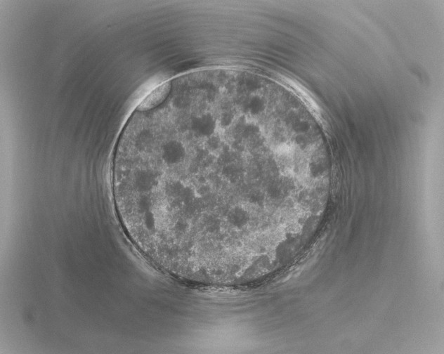 X0000115300907200912141114