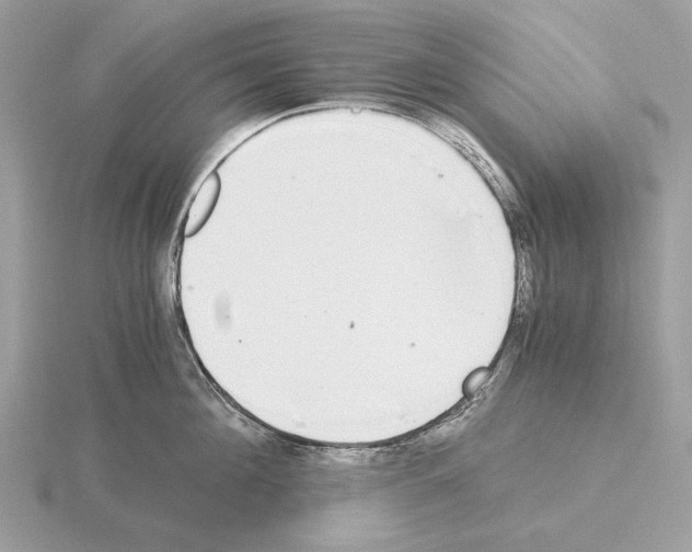 X0000115300908200912141114