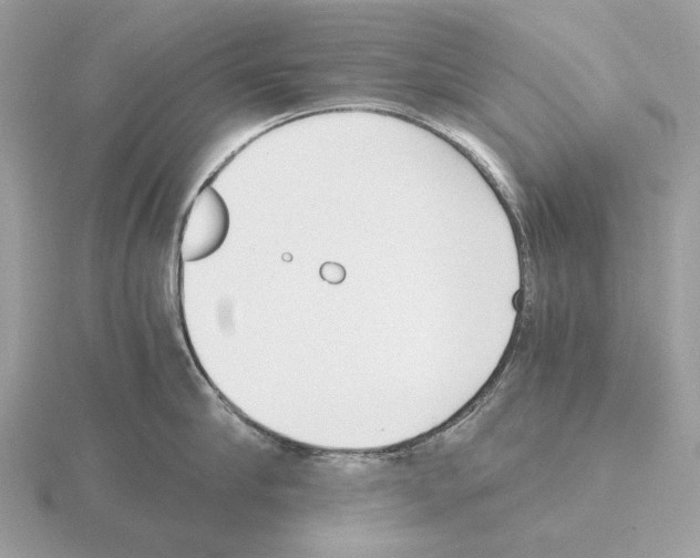 X0000115300910200912141114