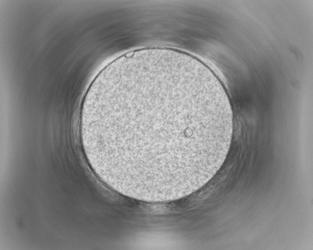 X0000115300911200912141114