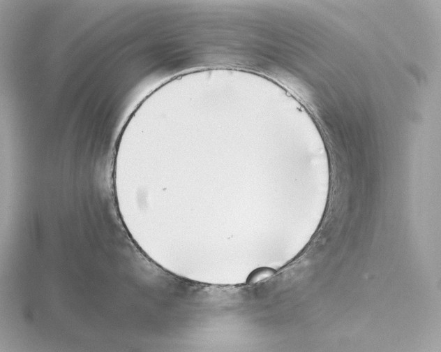 X0000115300912200912141114