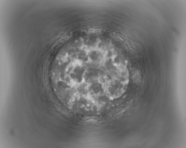 X0000115300913200912141113