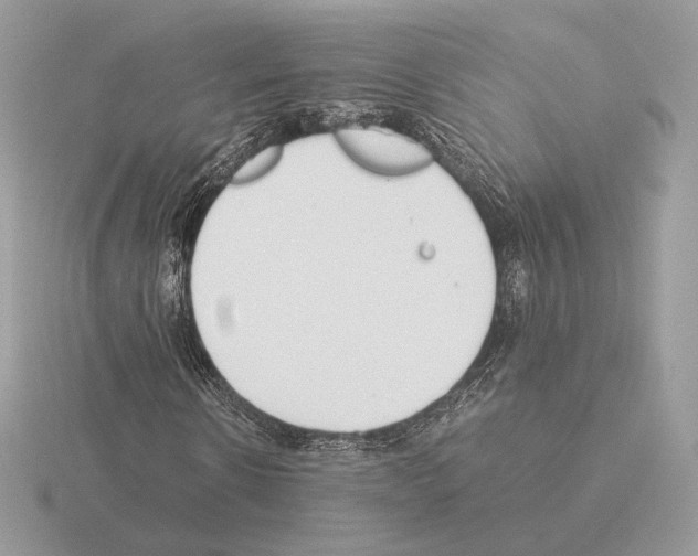 X0000115300914200912141113