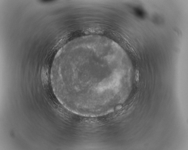 X0000115300915200912141113