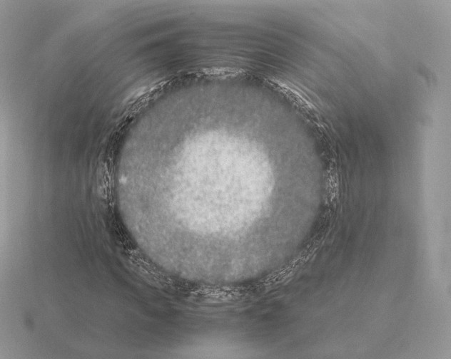 X0000115300917200912141113