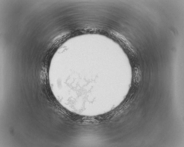 X0000115300918200912141113