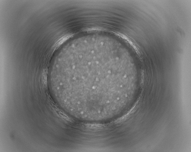 X0000115300921200912141113