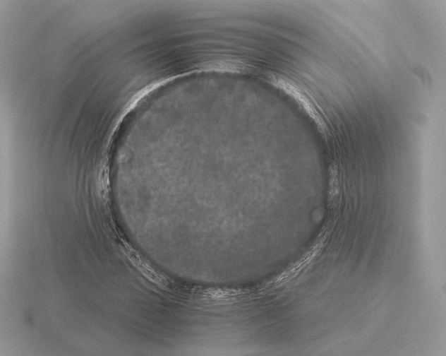 X0000115300923200912141113