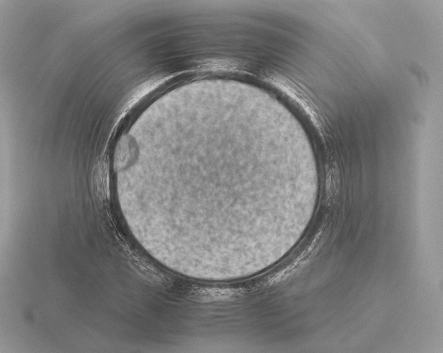 X0000115300925200912141113