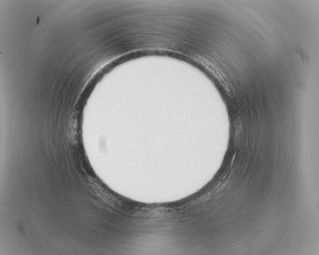 X0000115300926200912141113