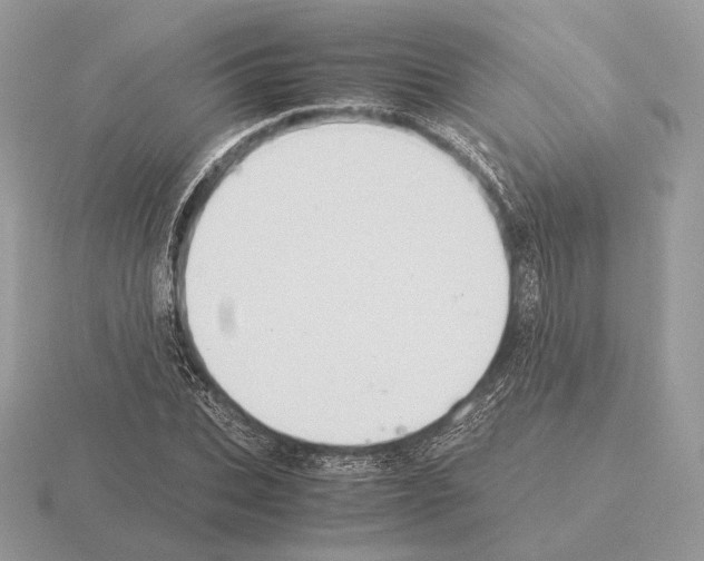 X0000115300927200912141113