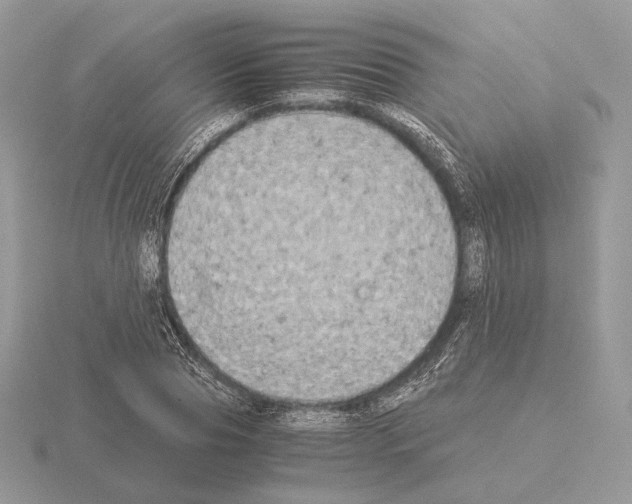 X0000115300929200912141113