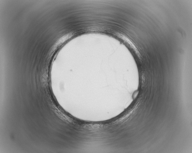 X0000115300930200912141113