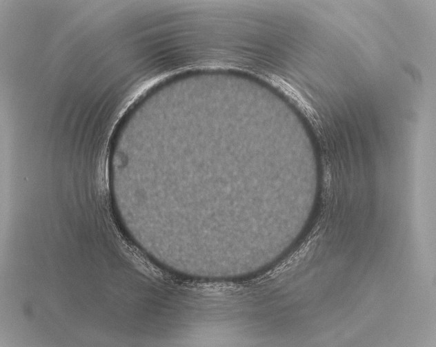 X0000115300934200912141114