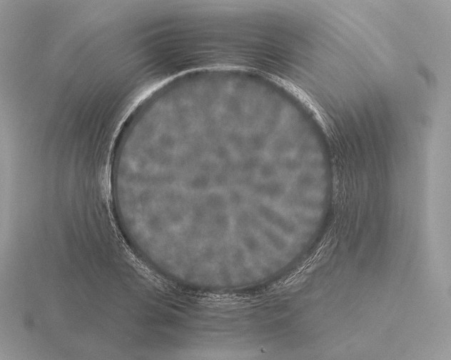 X0000115300935200912141114