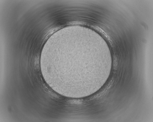 X0000115300937200912141114