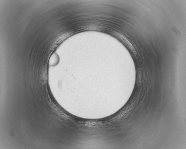 X0000115300938200912141114