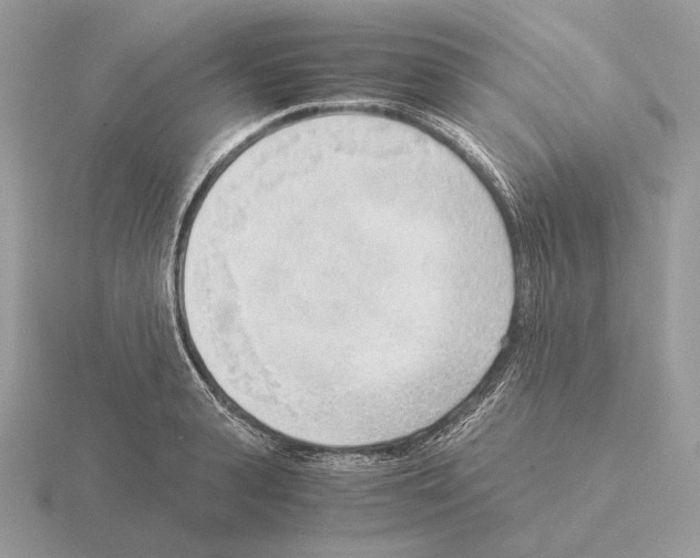 X0000115300943200912141114