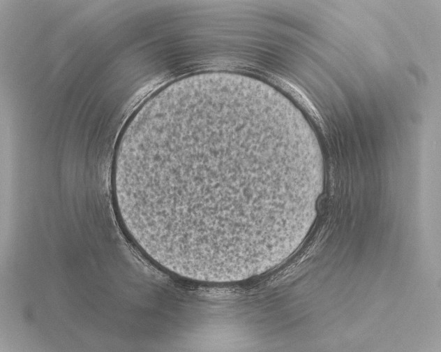 X0000115300946200912141114