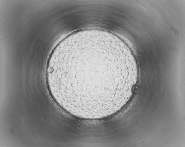 X0000115300949200912141114