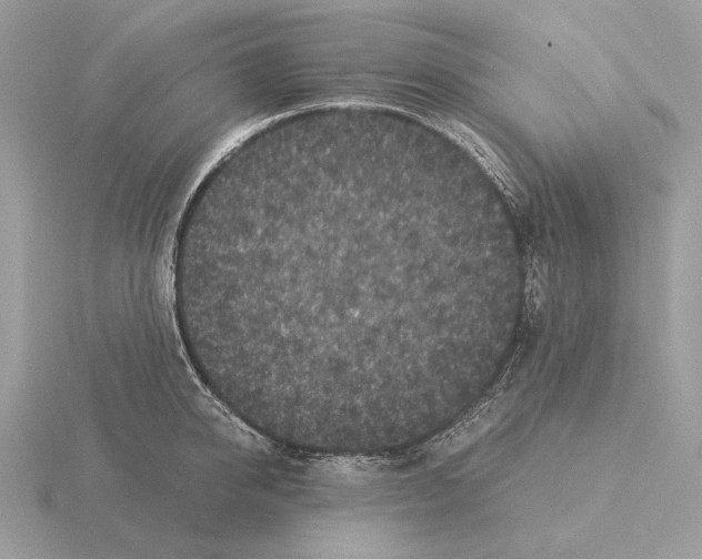 X0000115300950200912141114