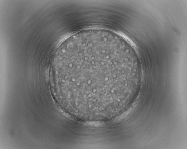 X0000115300953200912141114