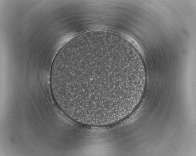 X0000115300954200912141114