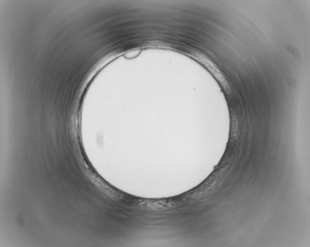 X0000115300955200912141114