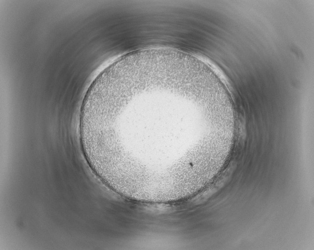 X0000115300957200912141114