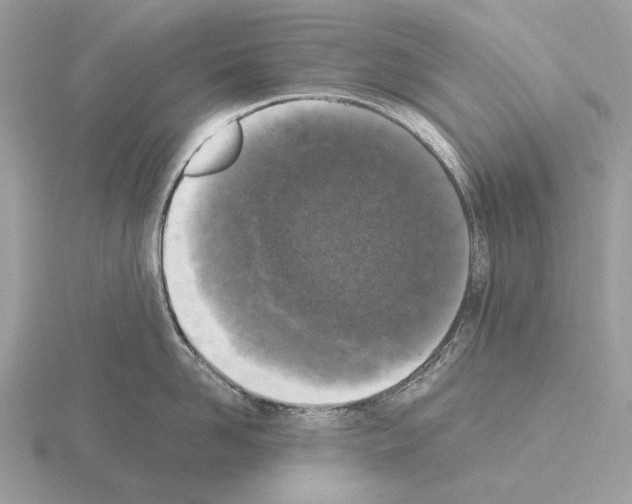 X0000115300958200912141114