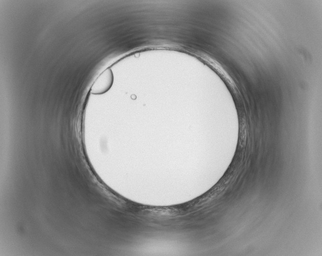 X0000115300959200912141114