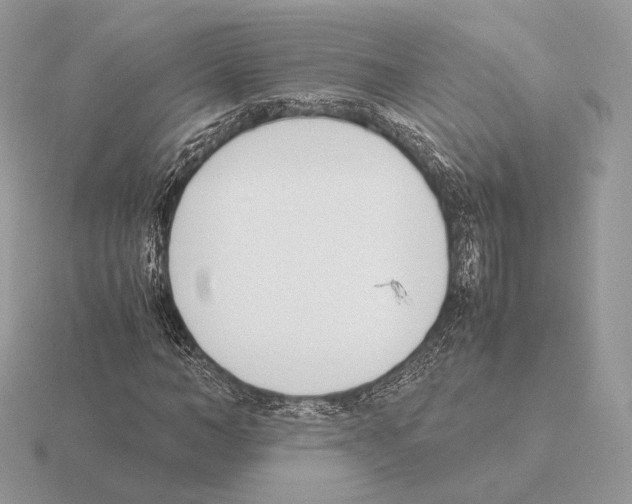 X0000115300966200912141113