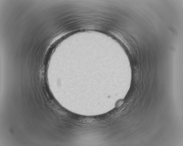 X0000115300971200912141113