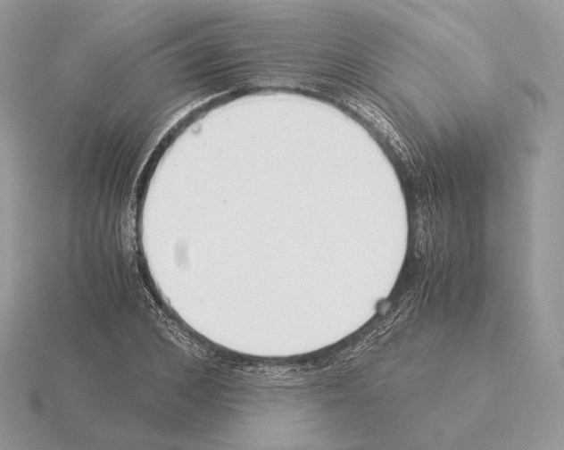 X0000115300976200912141113