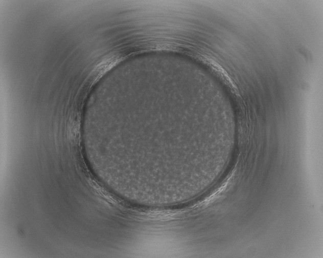 X0000115300977200912141113