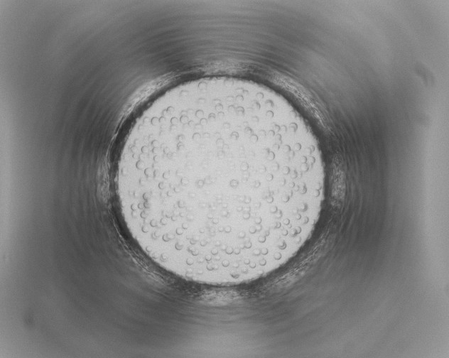 X0000115300978200912141113