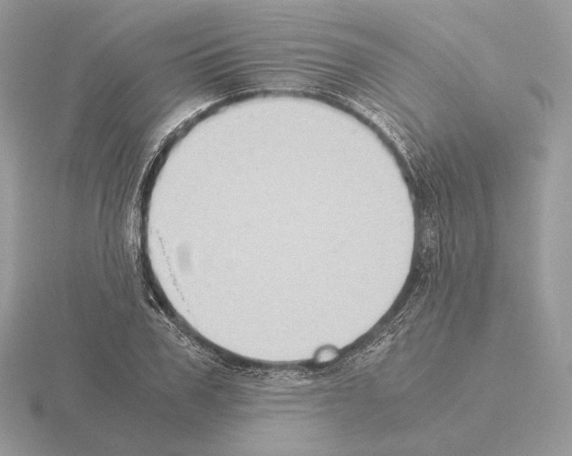 X0000115300979200912141113