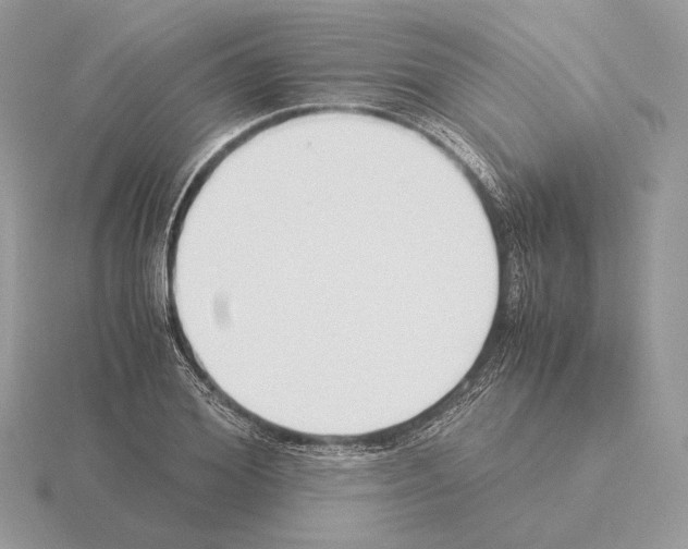 X0000115300980200912141113