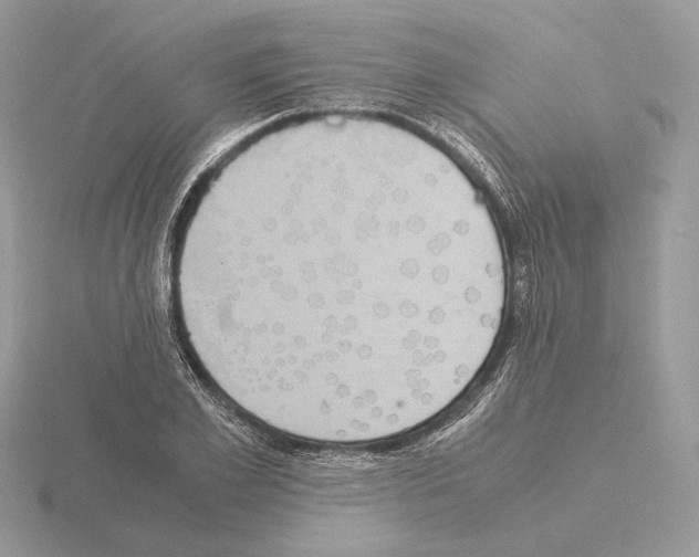 X0000115300981200912141113